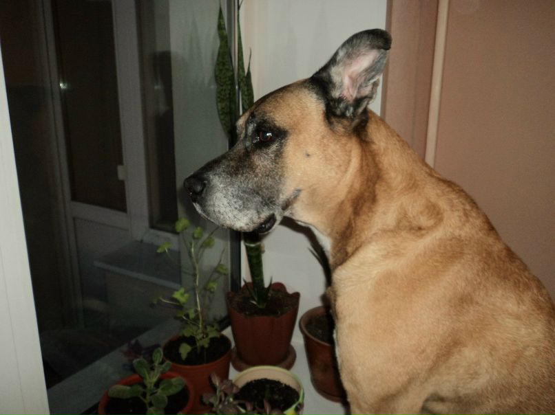 Павел Ситников | Самара