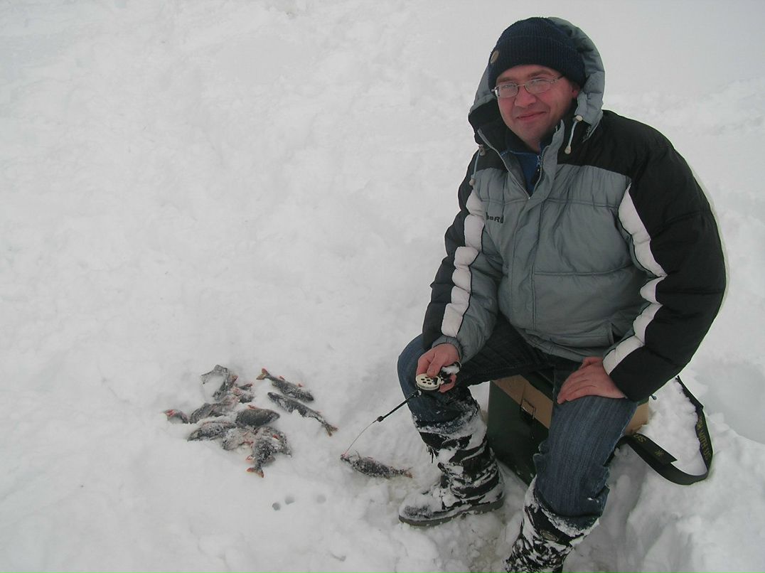 Елена Павлова | Вологда