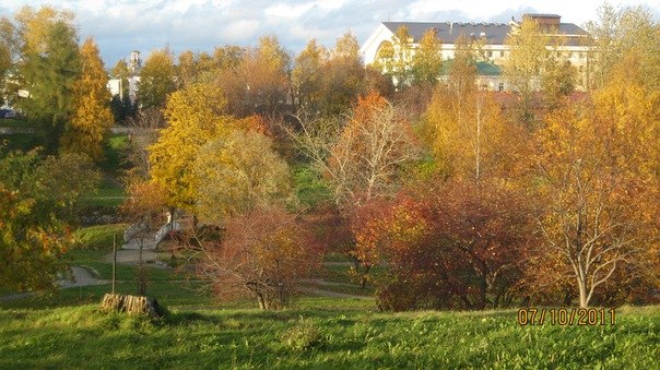 Елена Ельчинин | Петрозаводск
