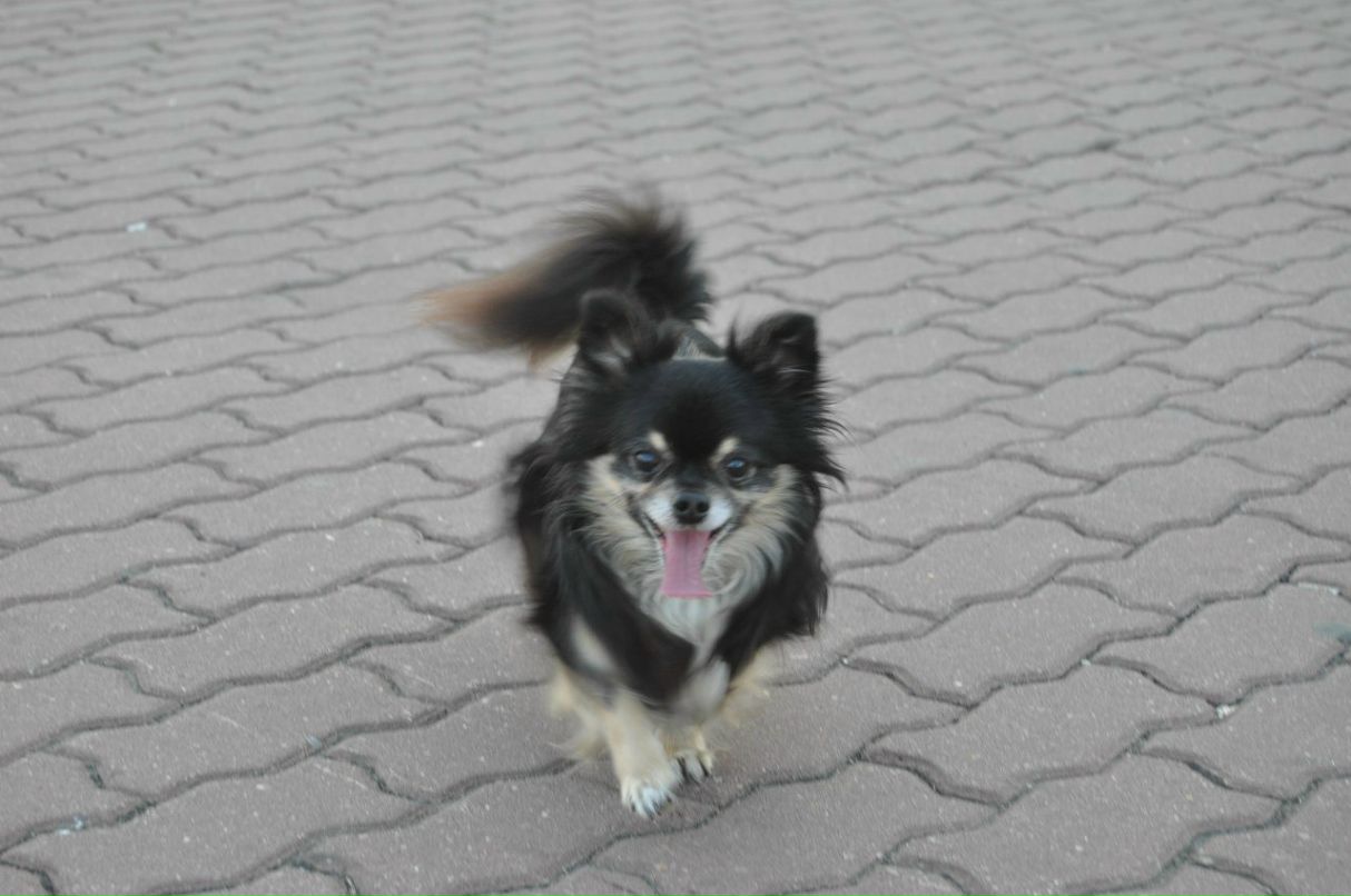 Станислава Ов | Москва