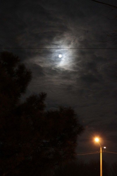 Ирина Шкодина | Одесса