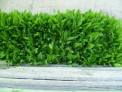 №9 Полина Павлова : профиль, фото, статус - ВКонтакте