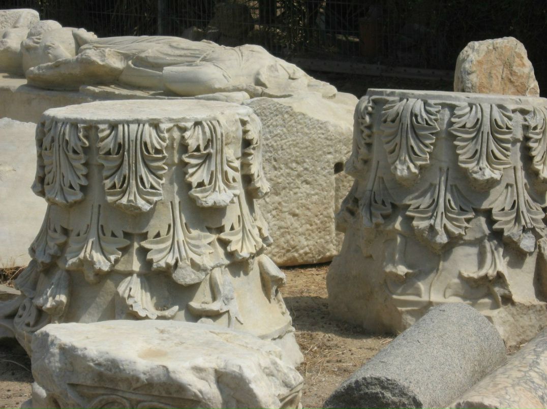 Светлана Фадеева | Калининград