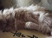 Юлия Кушниренко фотография #21