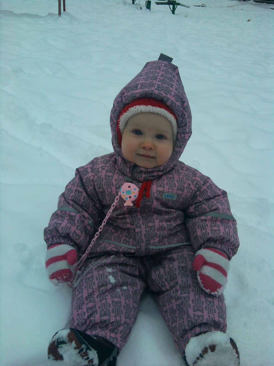 Светлана Андрюшечкина | Петрозаводск