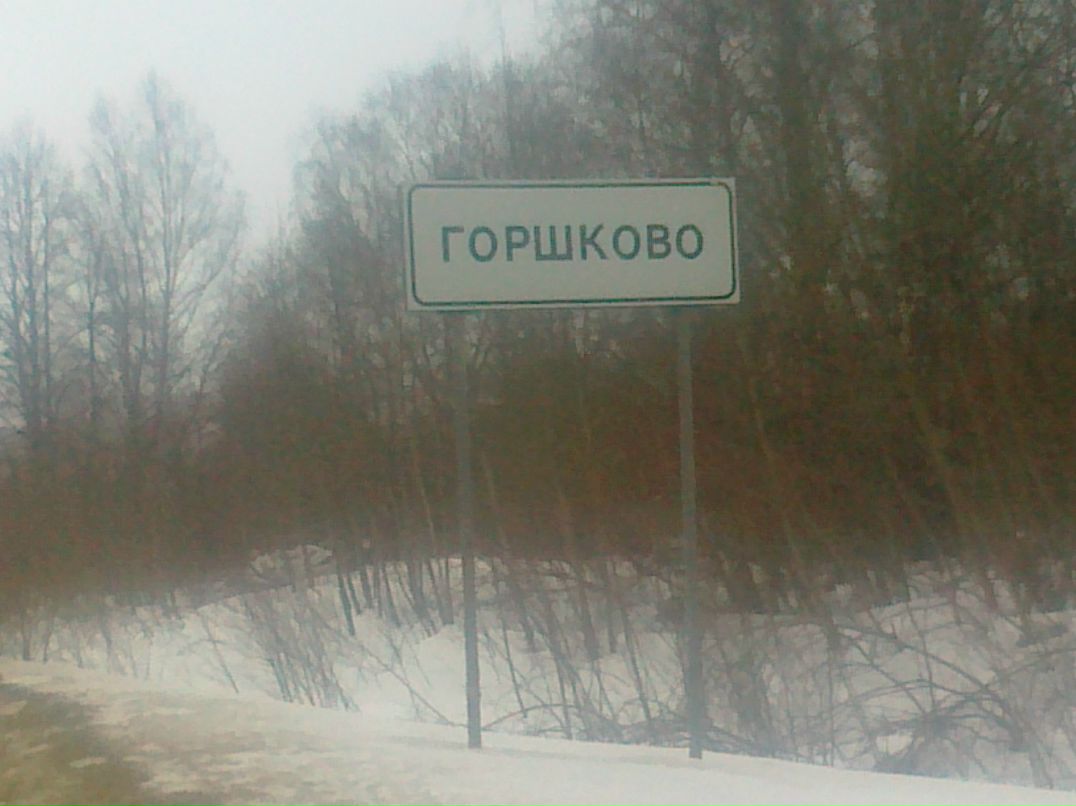 Сергей Горшков | Санкт-Петербург