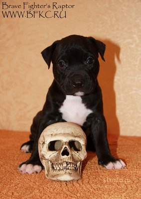 Лана Александрова | 