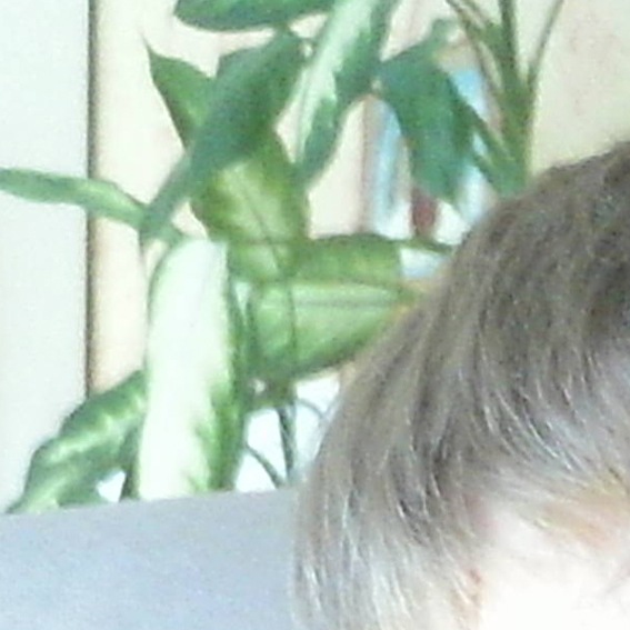 №12, Yaroslav Kulikov, Новосибирск №12, Yaroslav Kulikov, Новосибирск