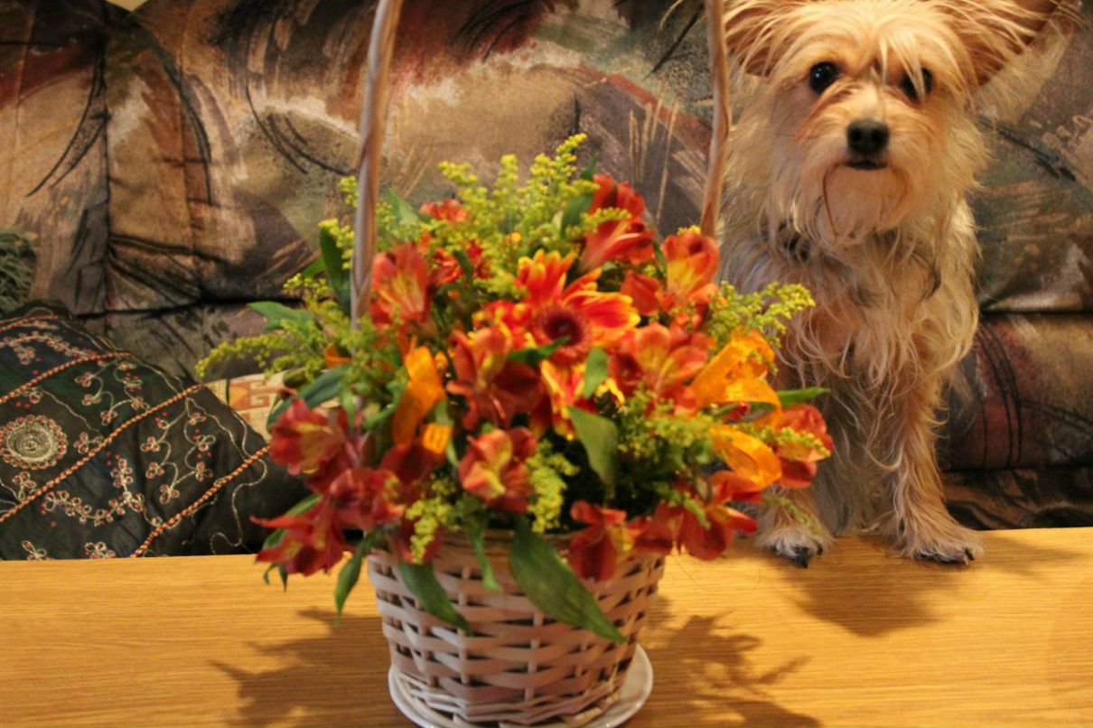 Светлана Порохина | Челябинск