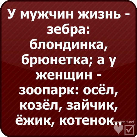 №154, Христина Колодрібська, 32 года, Шировцы №154, Христина Колодрібська, 32 года, Шировцы