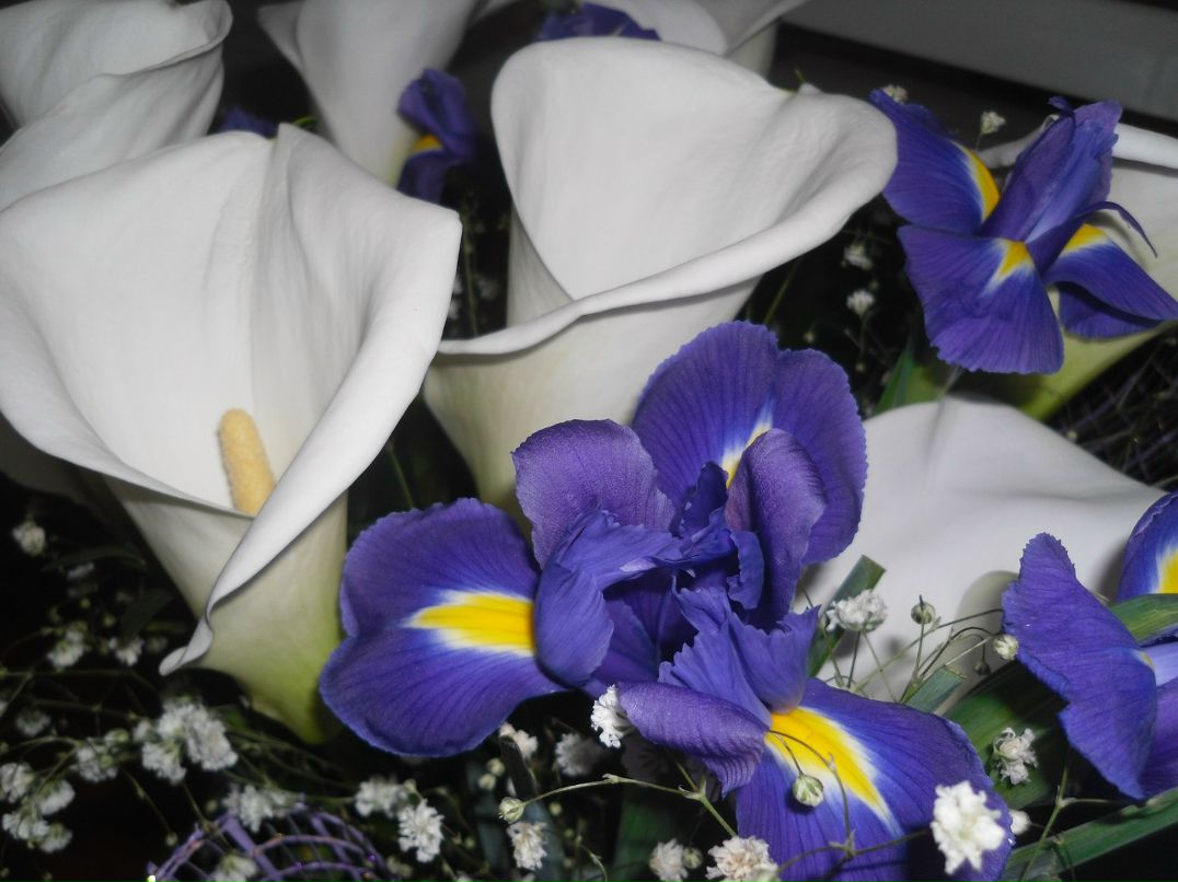 Валентина Быкова ☜(ړײ)☞ TINKA | Львов