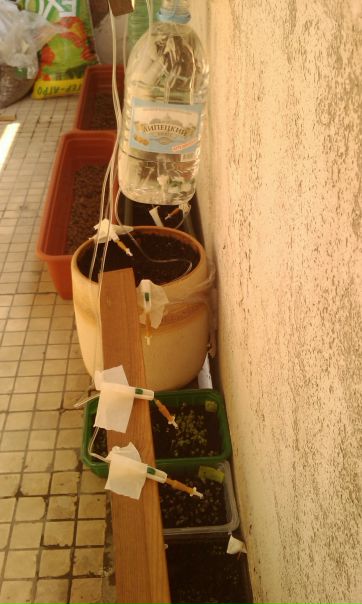 №4, Ксения Весенняя №4, Ксения Весенняя