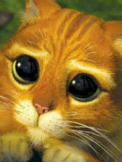 Екатерина Киселёва Владимировна | Колывань