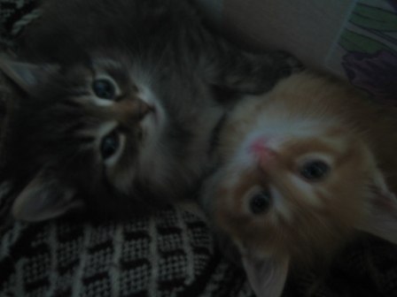 Ольга Марченко | Красноярск