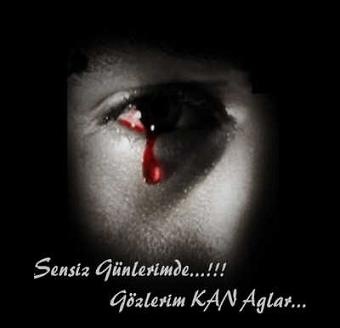 №66, Sevlan Qasimov, 33 года, Баку №66, Sevlan Qasimov, 33 года, Баку