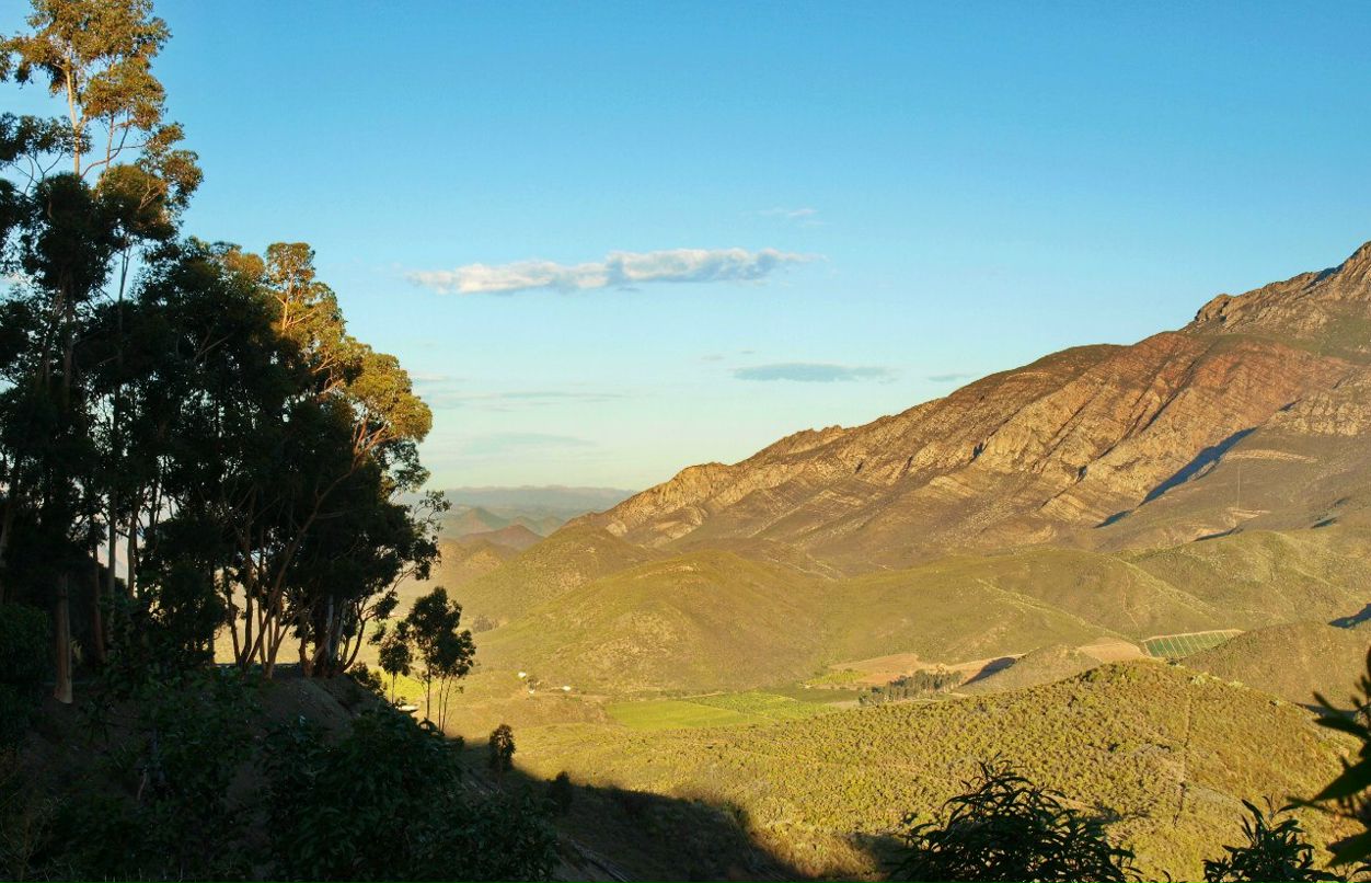 Игорь Хасапов | Vanderbijlpark