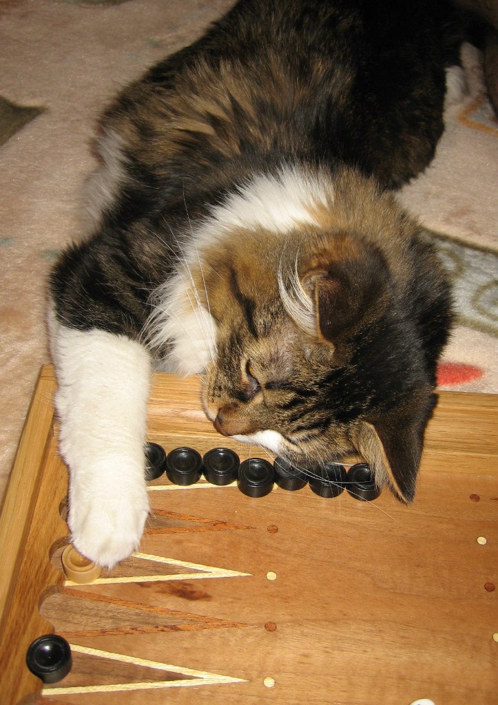 Майя Комякова | 