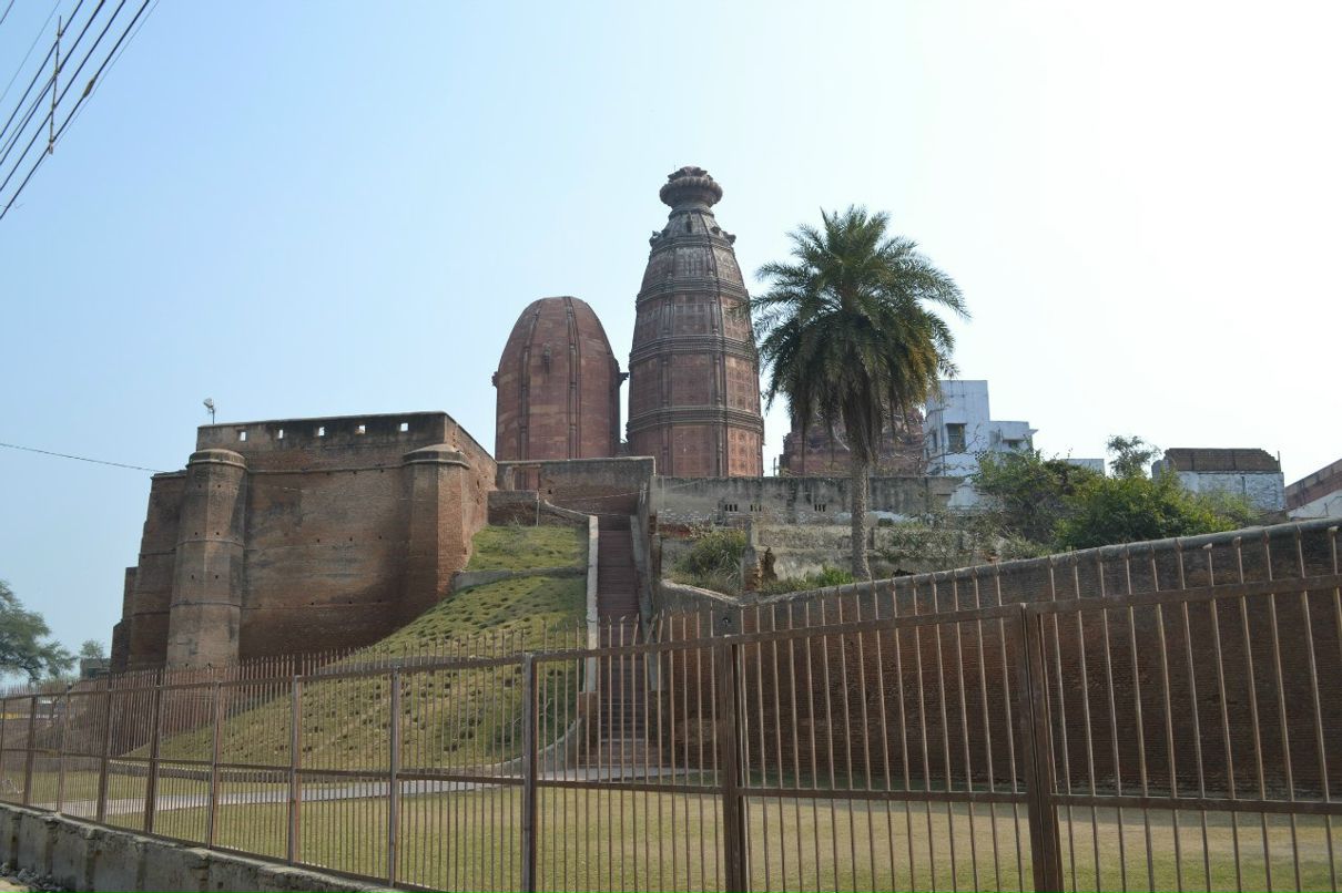 Антон Щигорец | Санкт-Петербург