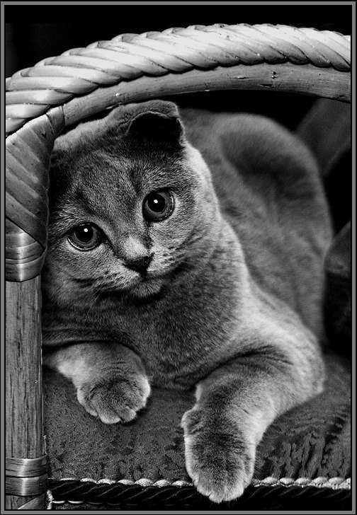 Мария Григорьева ^_^ | 