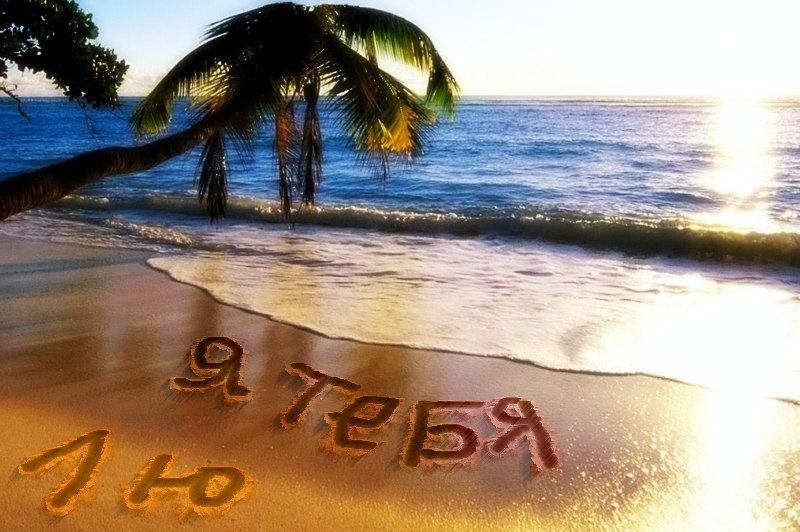 Елизавета Фролова | Новый Оскол