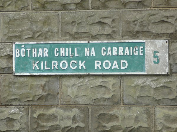 Валерия Шмидт | Санкт-Петербург