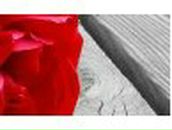 Алёна Соломонова | Нижний Новгород