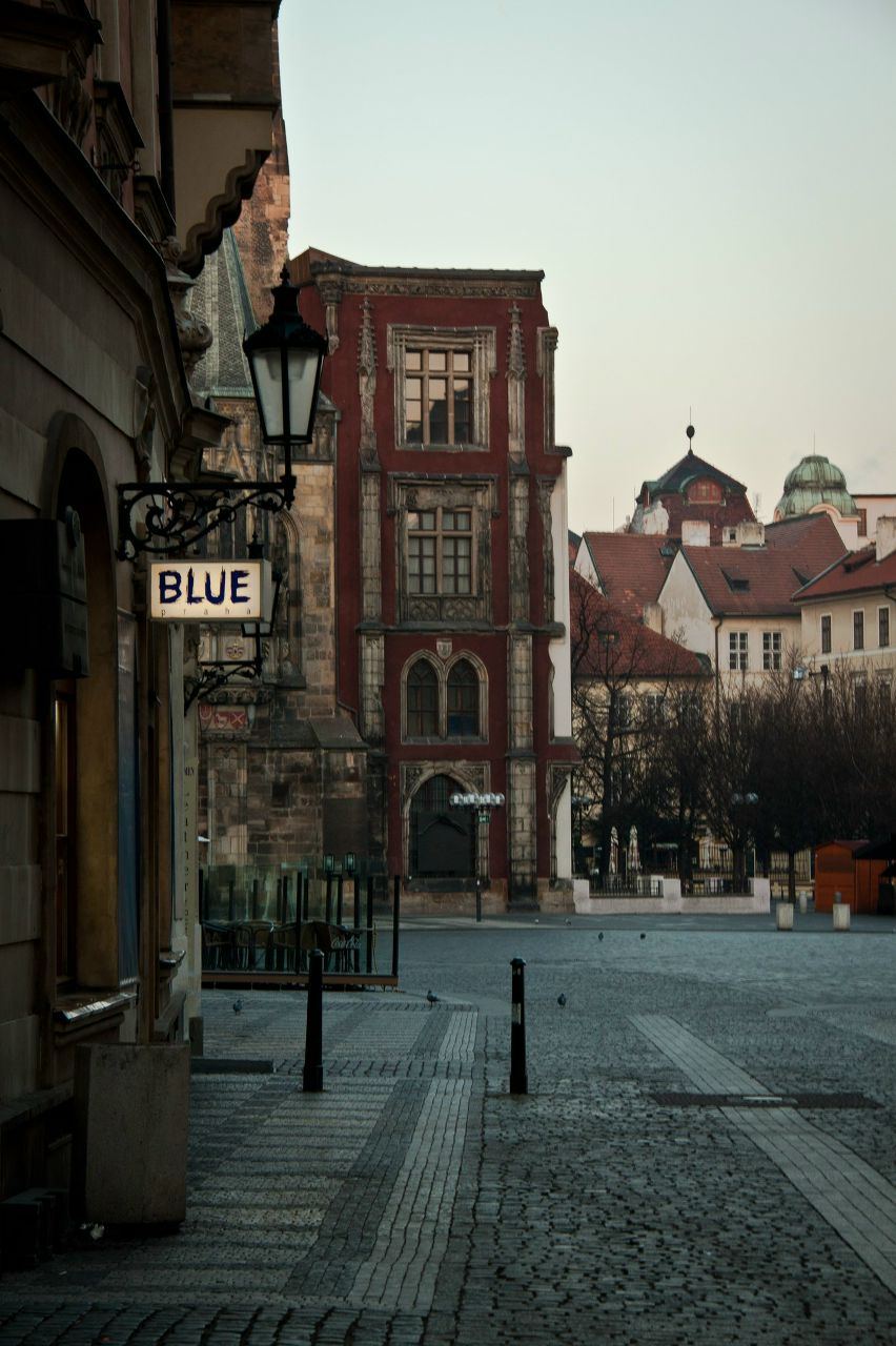 Елена Товмач | 