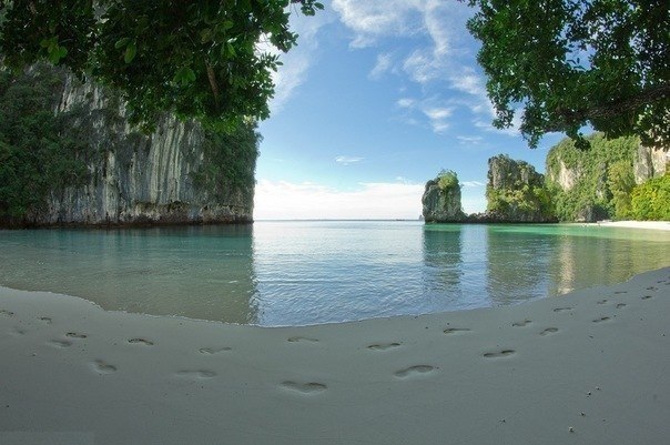 Андрей Козлов КЭП | Санкт-Петербург