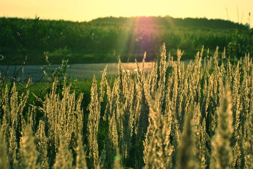 Маргарита Малько | Москва