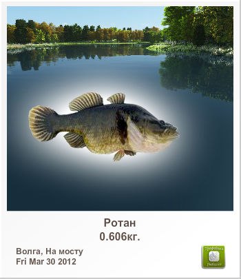 Антон Инкогнито இ ♥קƹ®Ϛ♥ईツ | Ярославль