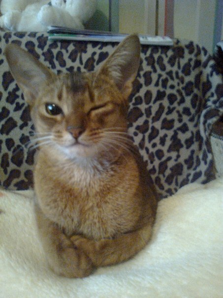 №191, Мухтар Бейсебаев, 45 лет, Алматы №191, Мухтар Бейсебаев, 45 лет, Алматы