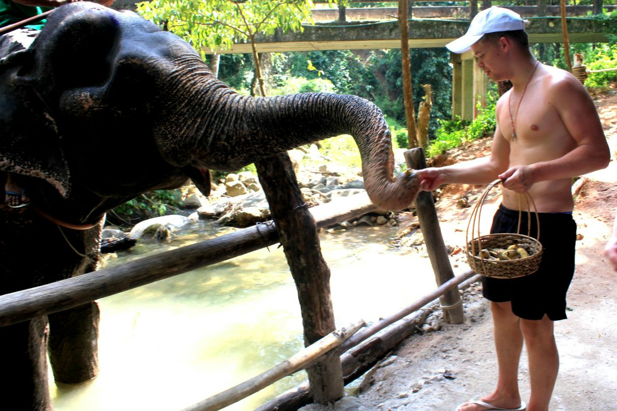 Алексей Воронин | Москва