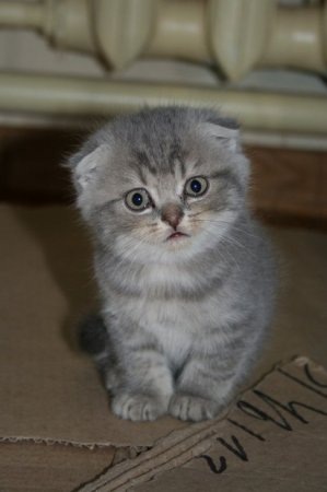 №6, Диана Чупрова, Воркута №6, Диана Чупрова, Воркута