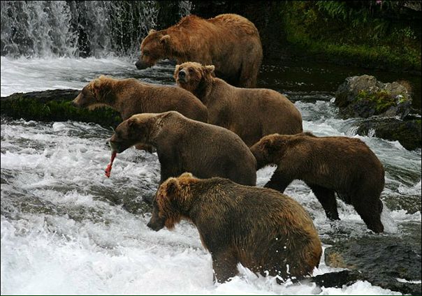 №101, Илья Алехин, Екатеринбург №101, Илья Алехин, Екатеринбург