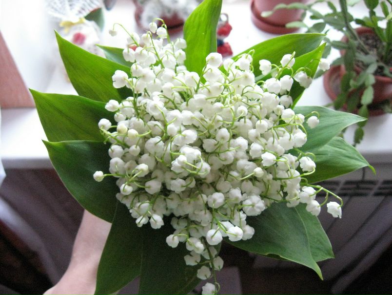 №51, Яна Кулагина, Самара №51, Яна Кулагина, Самара