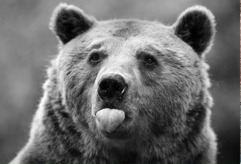 Максим Максимов | Евпатория