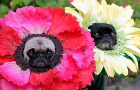 Liyba Kushchyk | Liberta