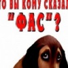 Аватар: Лена Васюхина