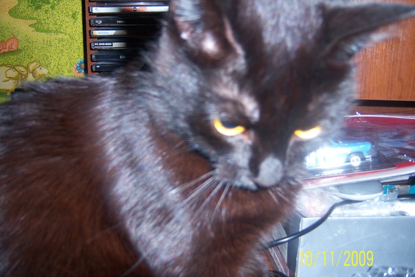 №11, Юлиана Поликарпова, 13.1, Санкт-Петербург №11, Юлиана Поликарпова, 13.1, Санкт-Петербург