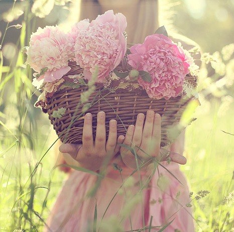 Елена Крылова | Dubai