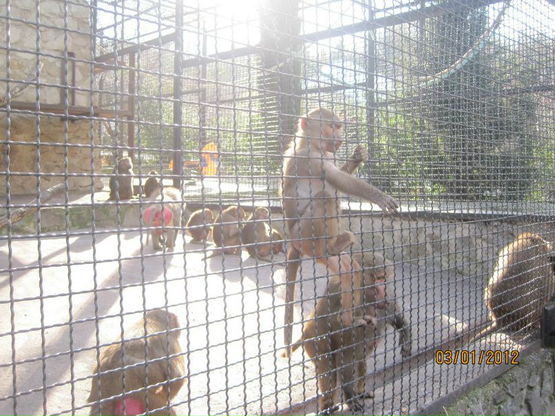 Иван Рысь | Запорожье