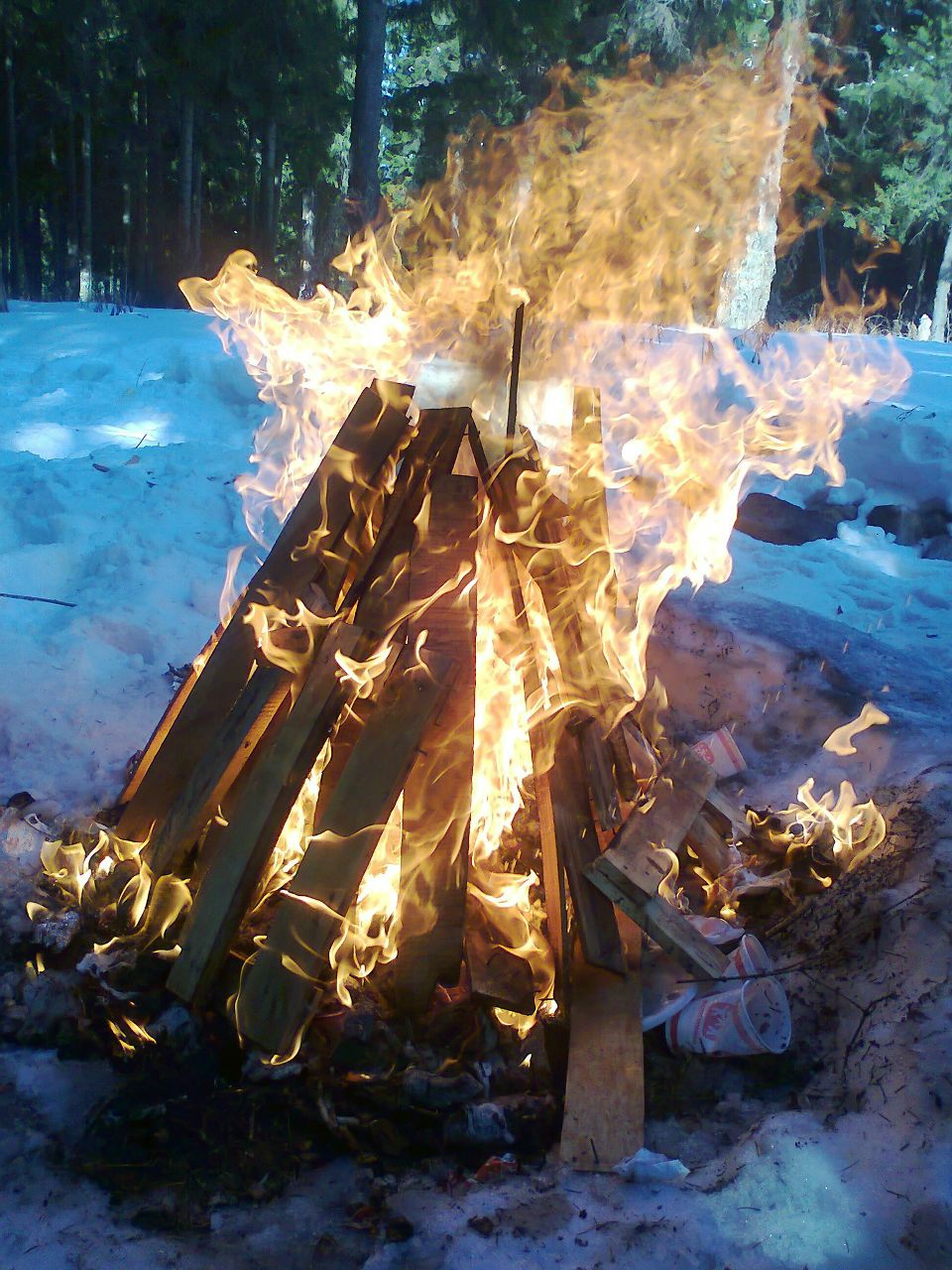 Владислав Заев | 