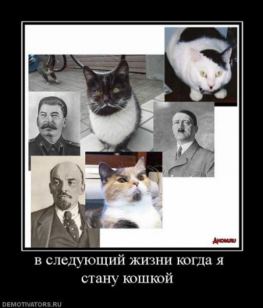 №9, Полина Ляшко, 29 лет, Никополь №9, Полина Ляшко, 29 лет, Никополь
