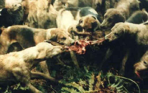 №48, Владислав Хруцкий, 44 года, Санкт-Петербург №48, Владислав Хруцкий, 44 года, Санкт-Петербург