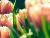 Татьяна Колясникова | Челябинск