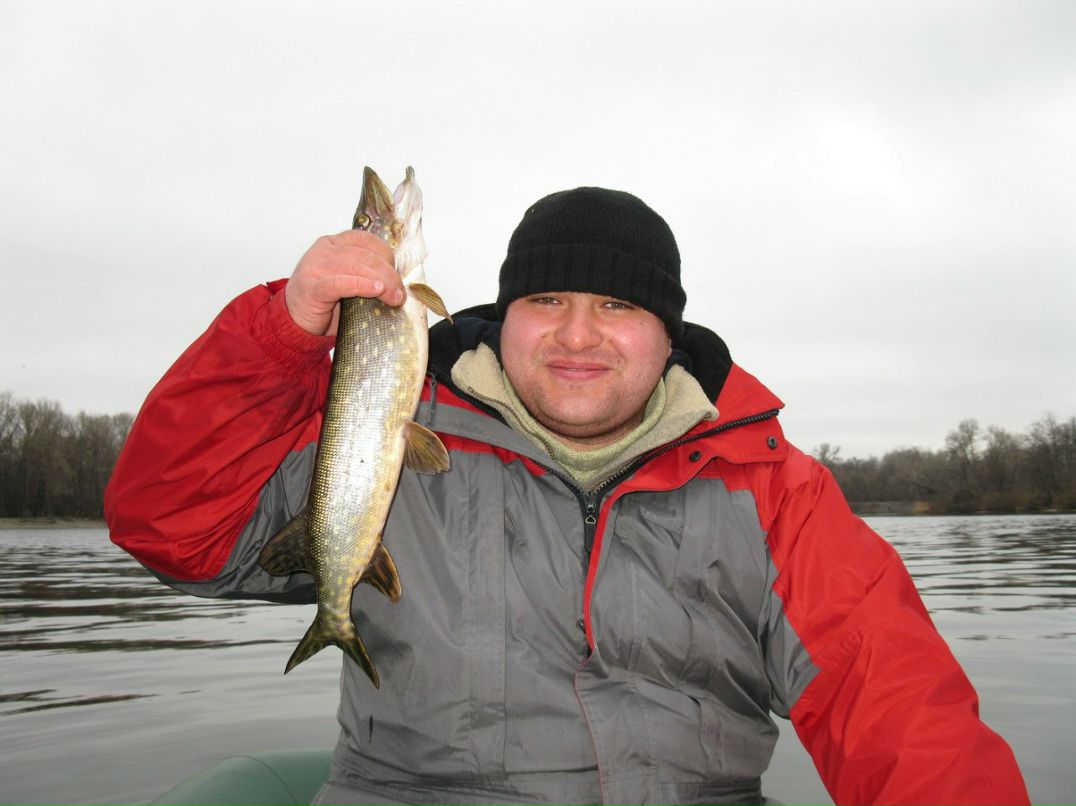 Владимир Сокол | Киев