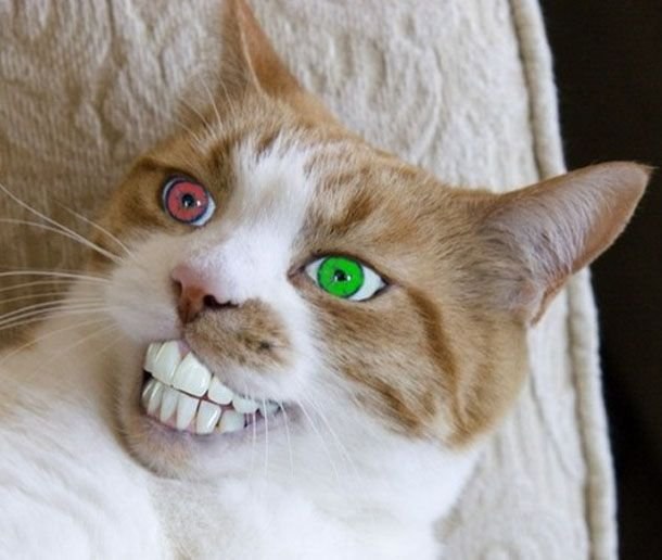 Сергей Резников | Санкт-Петербург