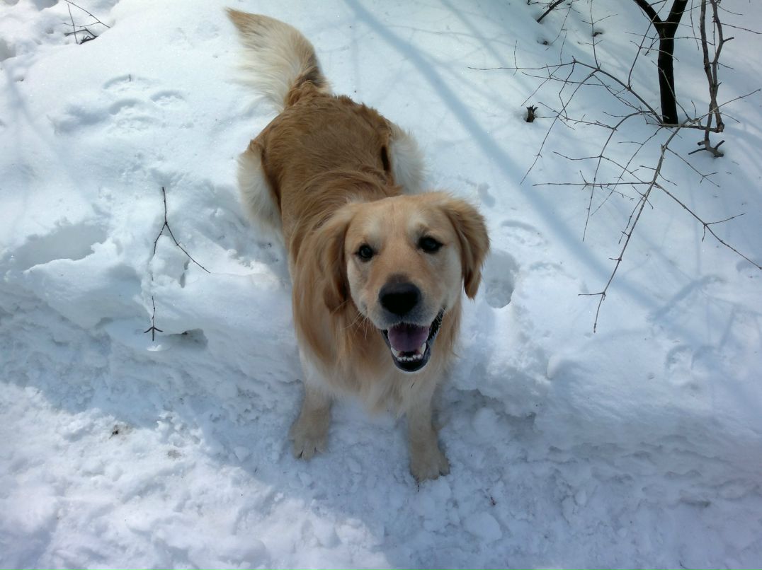 Дмитрий Черноляхов ())---DIMON--- | Москва