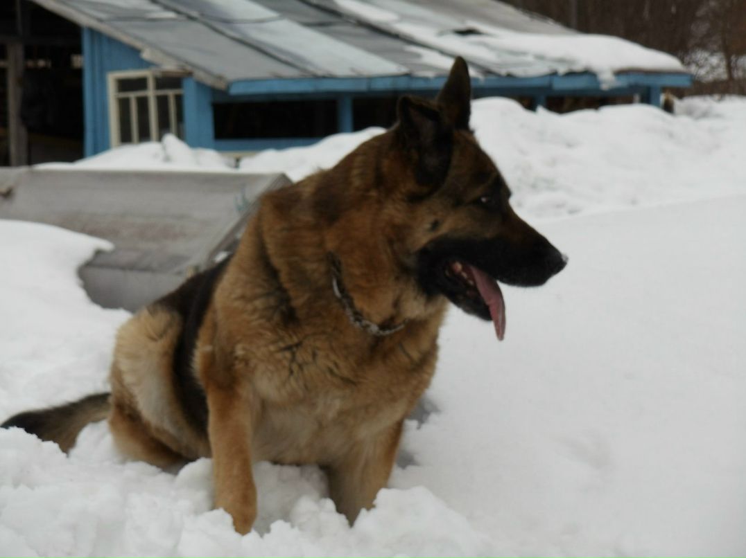 Игорь Кузьминский | Санкт-Петербург