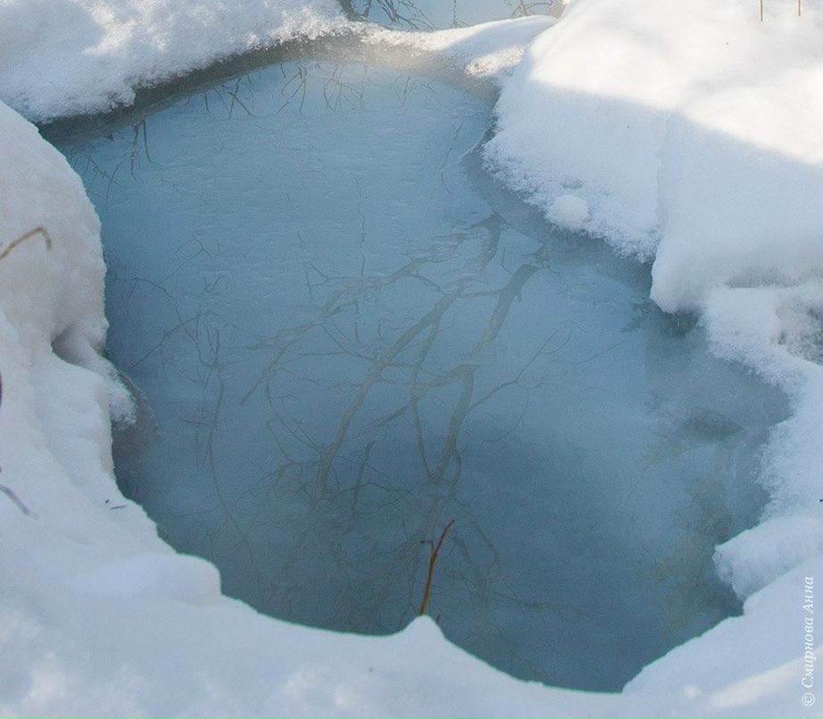 Анна Смирнова | Екатеринбург